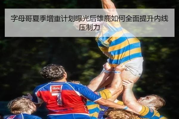字母哥夏季增重计划曝光后雄鹿如何全面提升内线压制力
